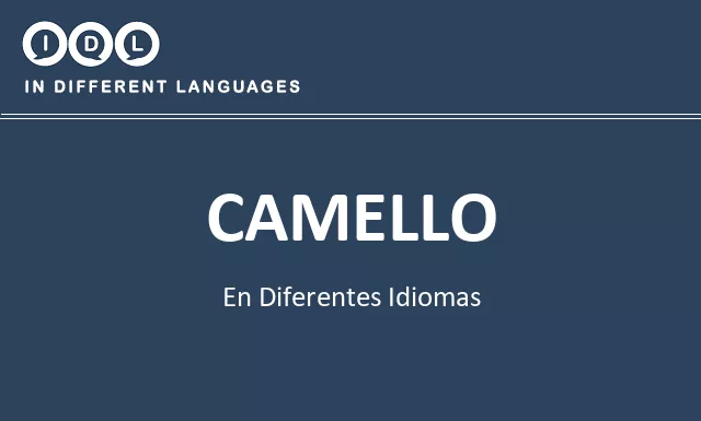 Camello en diferentes idiomas - Imagen