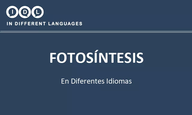Fotosíntesis en diferentes idiomas - Imagen
