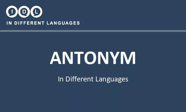 Antonym in Different Languages - Image