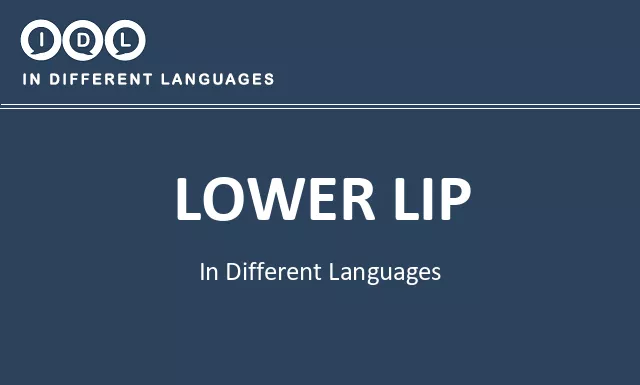 Lower lip in Different Languages - Image