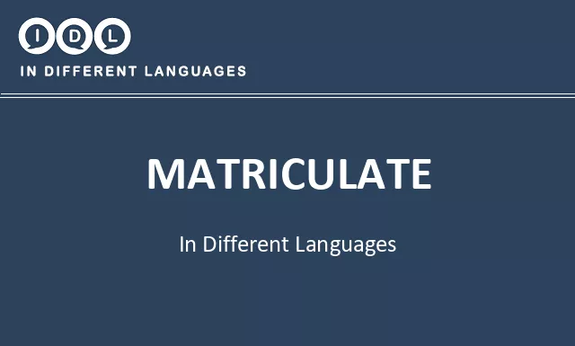 Matriculate in Different Languages - Image