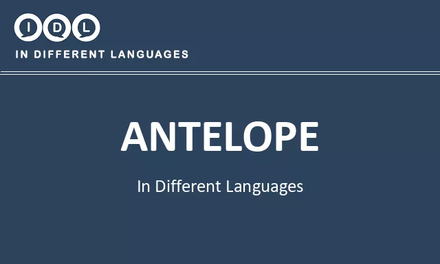 Antelope in Different Languages - Image