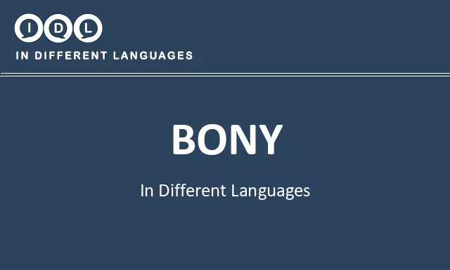 Bony in Different Languages - Image