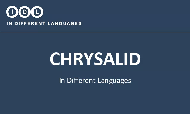 Chrysalid in Different Languages - Image