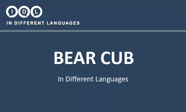 Bear cub in Different Languages - Image