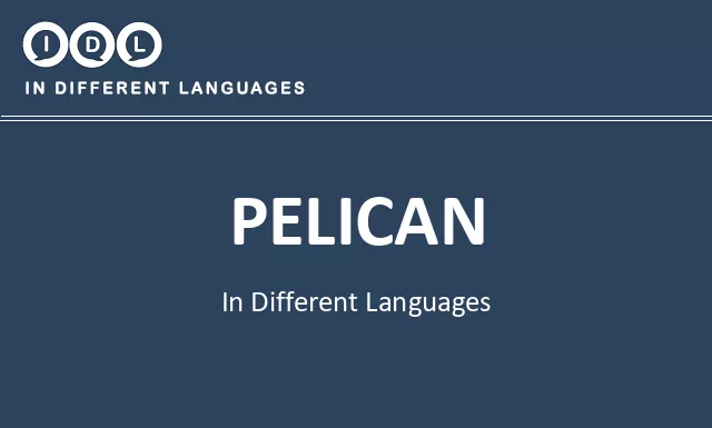 Pelican in Different Languages - Image