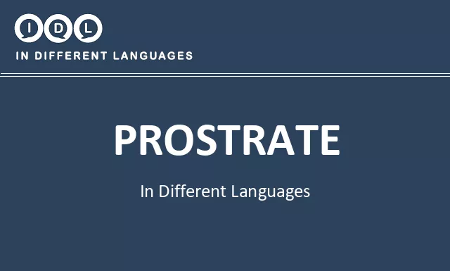 Prostrate in Different Languages - Image