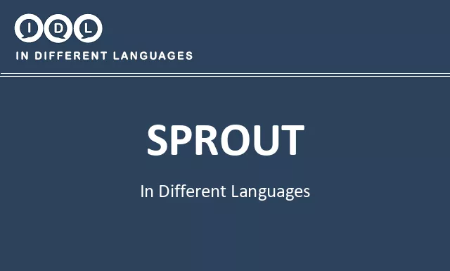 Sprout in Different Languages - Image