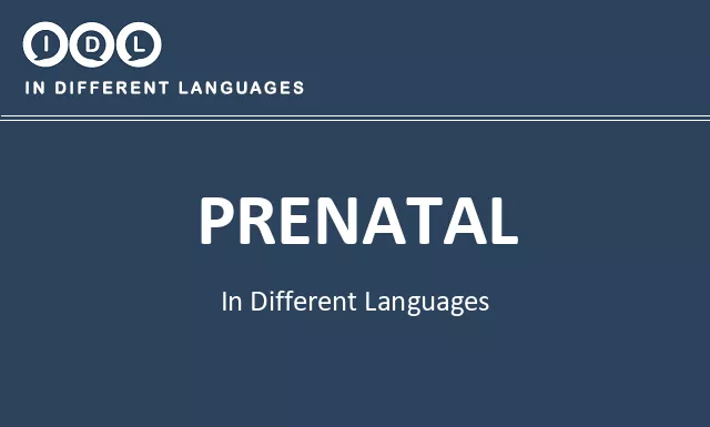Prenatal in Different Languages - Image