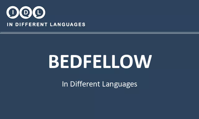 Bedfellow in Different Languages - Image