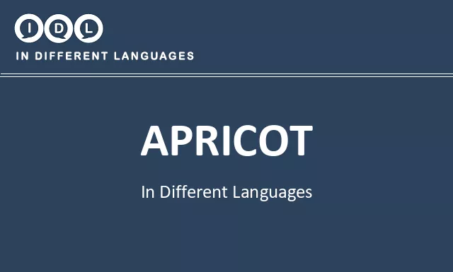 Apricot in Different Languages - Image