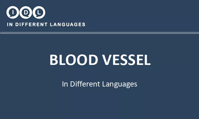 Blood vessel in Different Languages - Image