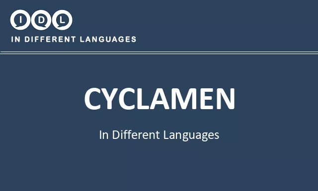 Cyclamen in Different Languages - Image