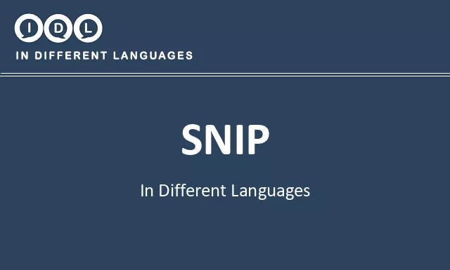 Snip in Different Languages - Image