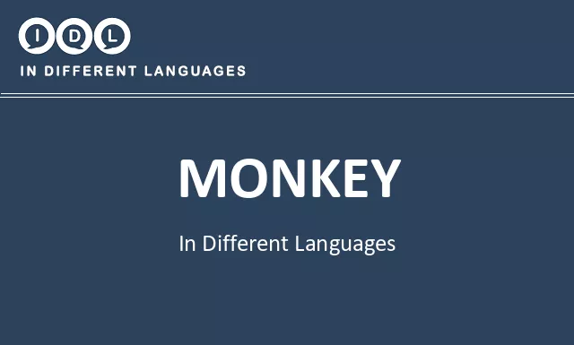 Monkey in Different Languages - Image