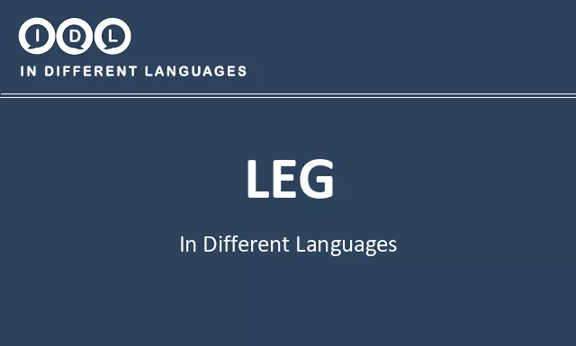 Leg in Different Languages - Image