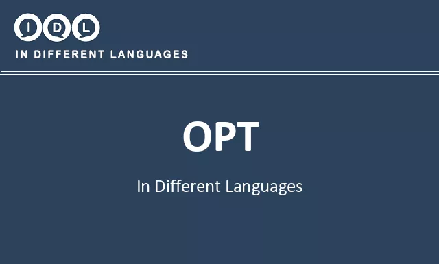 Opt in Different Languages - Image