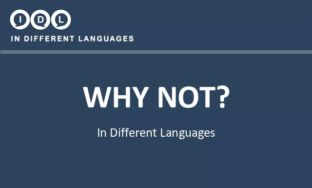 Why not? in Different Languages - Image