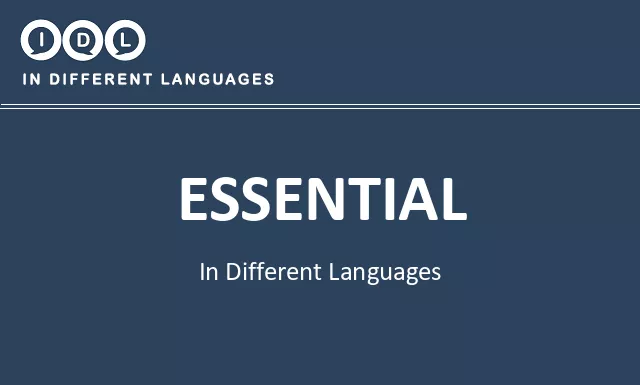 Essential in Different Languages - Image