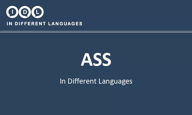 Ass in Different Languages - Image