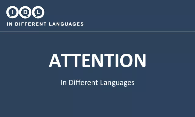 Attention in Different Languages - Image