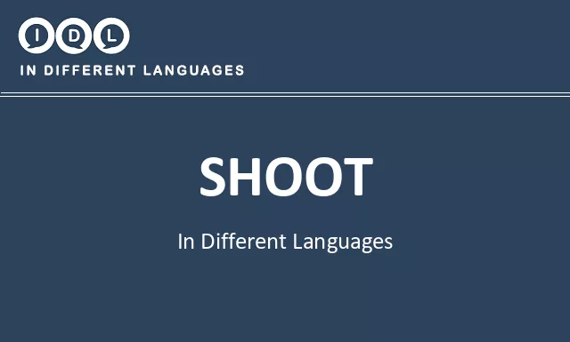 Shoot in Different Languages - Image