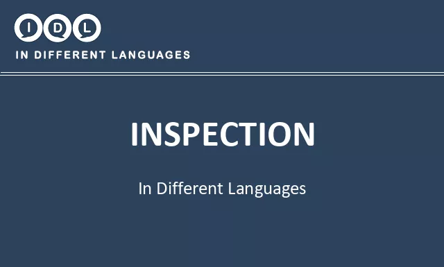 Inspection in Different Languages - Image