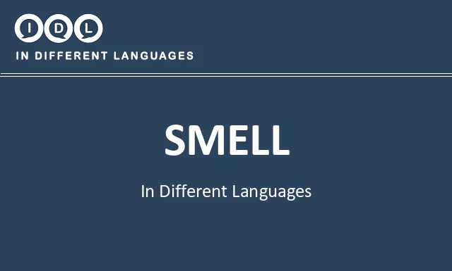 Smell in Different Languages - Image
