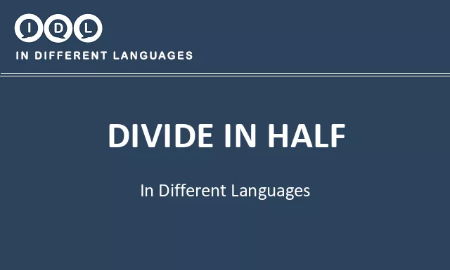 Divide in half in Different Languages - Image