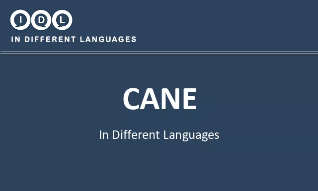 Cane in Different Languages - Image