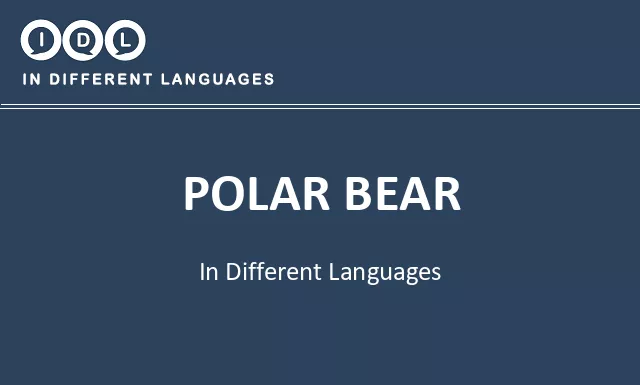 Polar bear in Different Languages - Image
