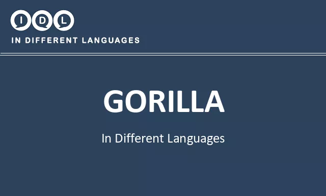 Gorilla in Different Languages - Image