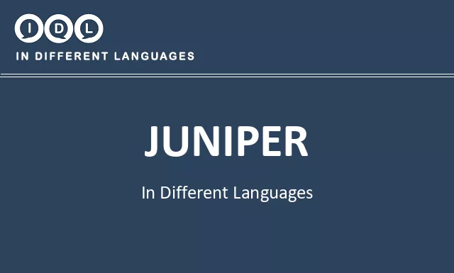 Juniper in Different Languages - Image