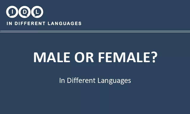 Male or female? in Different Languages - Image