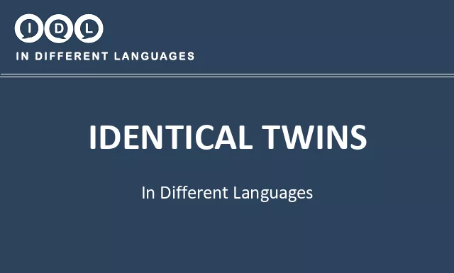 Identical twins in Different Languages - Image