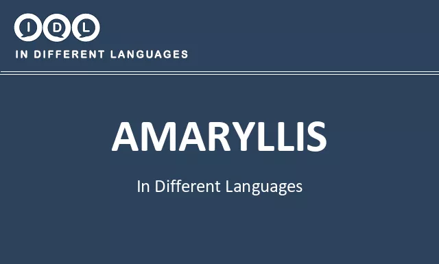Amaryllis in Different Languages - Image