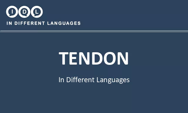 Tendon in Different Languages - Image