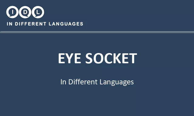 Eye socket in Different Languages - Image