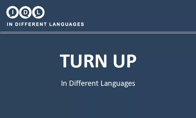 Turn up in Different Languages - Image