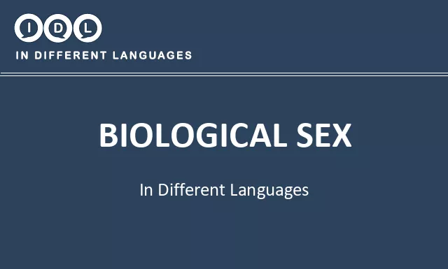 Biological sex in Different Languages - Image