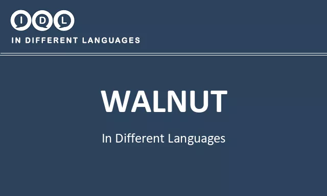 Walnut in Different Languages - Image