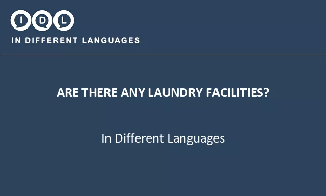 Are there any laundry facilities? in Different Languages - Image