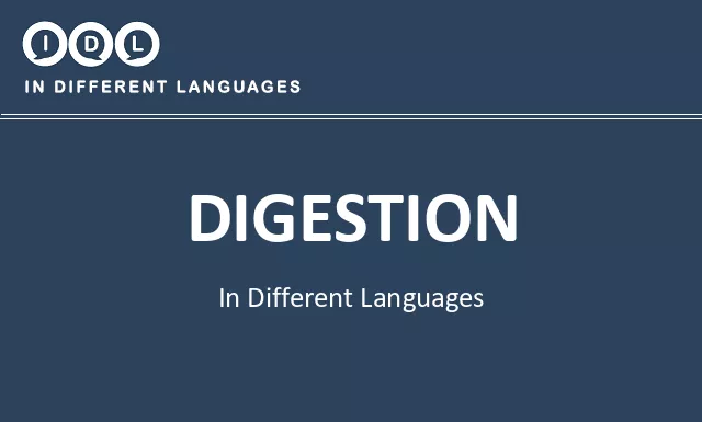 Digestion in Different Languages - Image