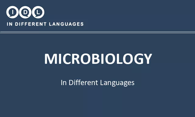 Microbiology in Different Languages - Image