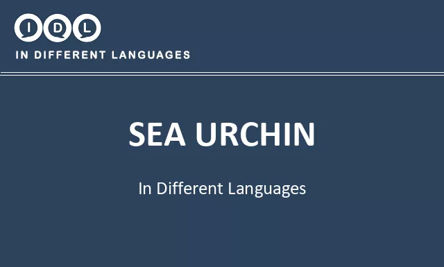 Sea urchin in Different Languages - Image