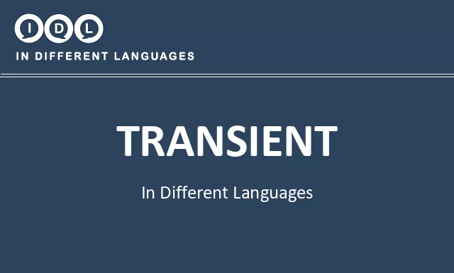 Transient in Different Languages - Image