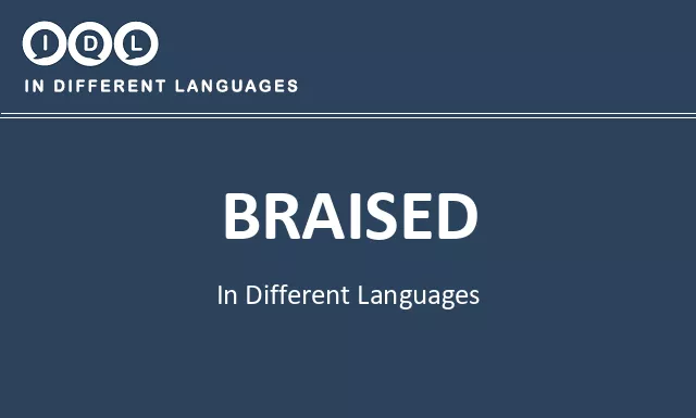 Braised in Different Languages - Image