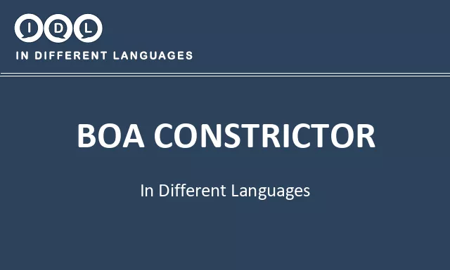 Boa constrictor in Different Languages - Image