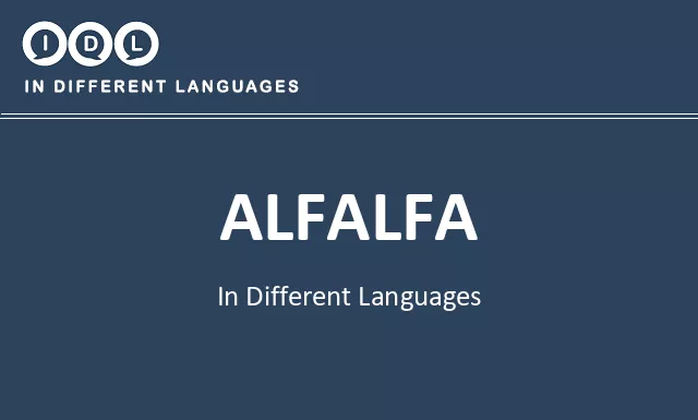 Alfalfa in Different Languages - Image
