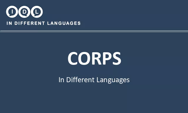 Corps in Different Languages - Image